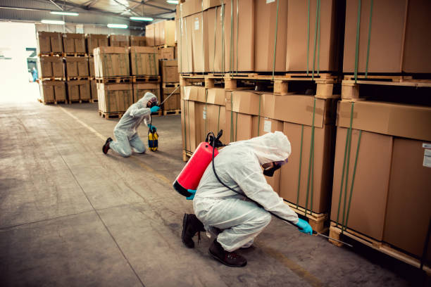 Best Flea Control Services  in Lamesa, TX