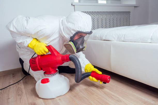 Best Termite Control Services  in Lamesa, TX