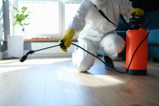 Professional Pest Control in Lamesa, TX