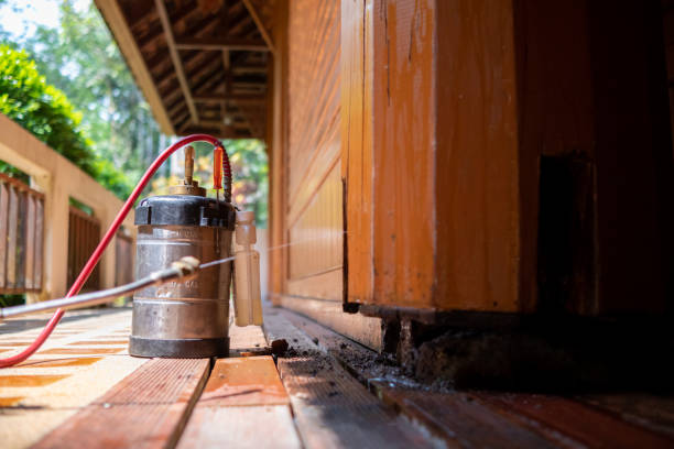 Best Pest Control for Restaurants  in Lamesa, TX