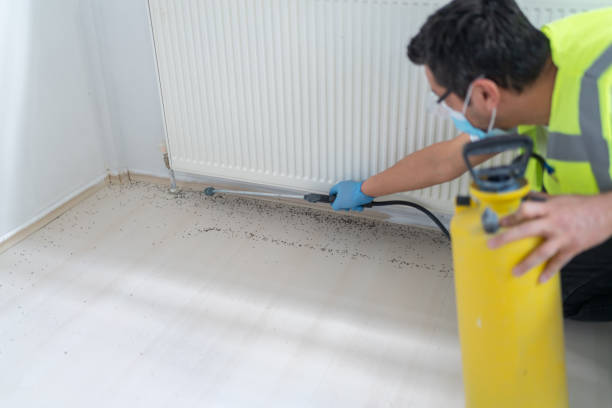 Best Flea Control Services  in Lamesa, TX